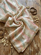Pastel Reverie Saree